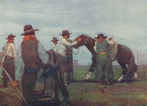 Gauchos włamuje się do młodego konia, 1916 autorstwa A. S. Forrest