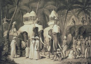 Słonie z Raja Travandrum, z „Podróży w Indiach”, grawerowane przez Louisa Henri de Ruddera (1807–81) autorstwa A. Soltykoff
