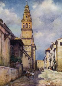 Cordova, Calle Cardinal Herrera (kolor lito) autorstwa A. Trevor Haddon