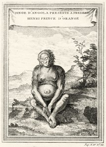Ilustracja przedstawiająca Orang-Outang podarowana Fryderykowi Henrykowi, księciu Orange, 1750 autorstwa Abbé Prévost