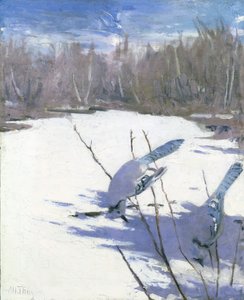 Blue Jays in Winter, studium do książki Ukrywanie zabarwienia w królestwie zwierząt, ca. 1905-1909. autorstwa Abbott Handerson Thayer