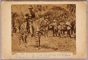 Horse and Cruiser Camouflaged, folder do książki Concealing Coloration in the Animal Kingdom autorstwa Abbott Handerson Thayer