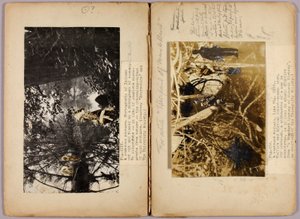N. Indianie amerykańscy, folder do książki Ukryte ubarwienie w królestwie zwierząt autorstwa Abbott Handerson Thayer