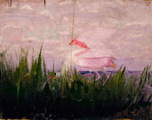 Warzęcha różowa, studium do książki Ukrywanie zabarwienia w królestwie zwierząt, ca. 1905-1909. autorstwa Abbott Handerson Thayer