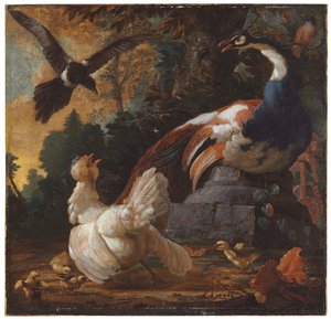 Paw, drób i sroka w krajobrazie, 1720 autorstwa Abraham Bisschop