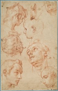 Osiem studiów głów młodych mężczyzn autorstwa Abraham Bloemaert