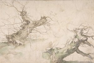 Studia dwóch wierzb Pollard, Verso: Wide Landscape Prospect, koniec XVI-połowa XVII wieku. autorstwa Abraham Bloemaert
