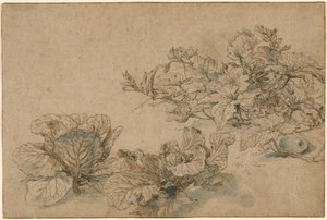 Studia rośliny dyniowatej i kapust autorstwa Abraham Bloemaert