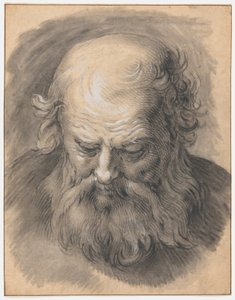 Studium głowy brodatego mężczyzny autorstwa Abraham Bloemaert