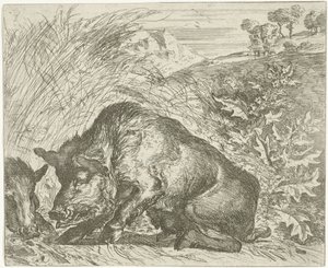 Dzik Różne zwierzęta (tytuł serii) autorstwa Abraham Danielsz. Hondius