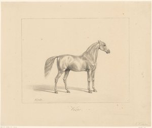 Ogier arabski Vezir (tytuł na obiekcie) autorstwa Abraham Vinkeles