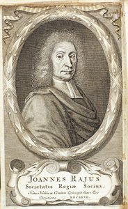 John Ray, angielski przyrodnik, 1680s autorstwa Abraham de Blois