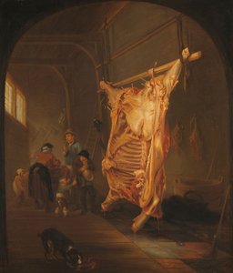 Zabity wół, 1635-55