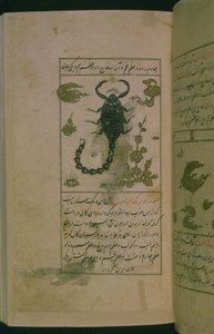Konstelacje zodiaku: Skorpion, Skorpion, z Talim dar marifat i taqvim, 1498 (903 Hijra) (atrament) autorstwa Abu Jafar al Tabari