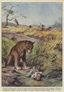 Afrykańskie przygody autorstwa Achille Beltrame