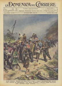 Bolesny exodus