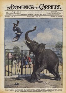 Druga zbrodnia pachydermy