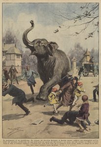 Spacer pachyderm