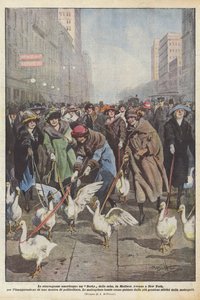 Amerykańskie ekstrawagancje, Geese Derby na Madison Avenue w Nowym Jorku na inaugurację? autorstwa Achille Beltrame