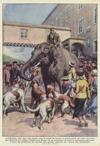 Słoń w Alpach autorstwa Achille Beltrame