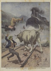 Wściekła krowa, która zabija człowieka, a następnie zostaje uderzona i zmiażdżona przez pociąg między Lukką a Castelnuovo autorstwa Achille Beltrame