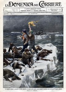 Rybacy z fok, z których niektórzy zginęli, pozostali opuszczeni na dryfującym oceanie lodzie. Ill. de Beltrame. „” La Domenica del corriere””. 12-19.04.1914. autorstwa Achille Beltrame
