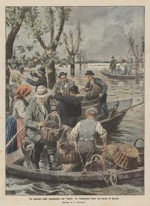 Epizod powodzi w Veneto, żniwa wykonane łodzią