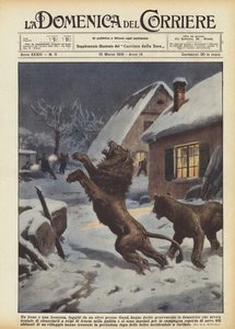Lew i lwica, którzy uciekli z cyrku pod Gandawą, poważnie zranili poskramiacza kogo?