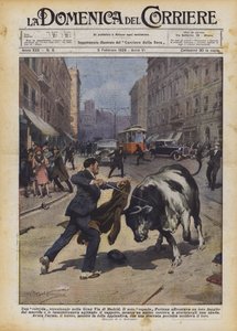 Wyjątkowa walka byków na Gran Via . w Madrycie