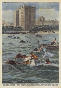 Konkurs umiejętności na Chicago Rodeo autorstwa Achille Beltrame
