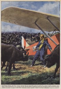 Polski lotnik, który musiał lądować z powodu nagłej awarii silnika w górach?