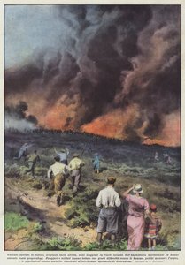 W różnych miejscach wybuchły gwałtowne pożary lasów, wywołane suszą? autorstwa Achille Beltrame