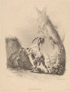 Koza w krajobrazie, 1805. autorstwa Adam von Bartsch