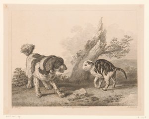 Pies i kot w walce przeciwko sobie Zwierzęta według obrazów mistrzów holenderskich (tytuł serii) Différens animaux graves d