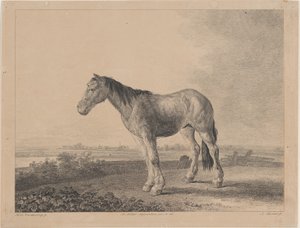 Koń stojący na polu z profilu po lewej, 1809 r. autorstwa Adam von Bartsch