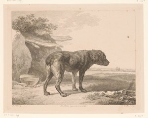 Stojący pies w krajobrazie Zwierzęta według obrazów mistrzów holenderskich (tytuł serii) Différens animaux graves d