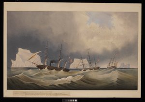 H.M.S. Phoenix z załogą, Diligence i Breadalbane, Wśród gór lodowych