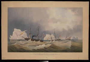 H.M.S. Phoenix z załogą, Diligence i Breadalbane, Wśród gór lodowych