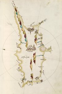 Mapa wyspy Cypru, ilustracja z atlasu Portolano, admirał Piri Reis (1465-1470 - 1553-1554) autorstwa Admiral Piri Reis