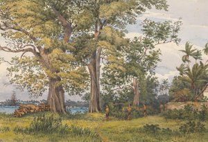 "Apia Bay, Upolu, Navigators Islands, [Samoa] z werandy mojej chorej kwatery, 6 listopada 1849 r. autorstwa Admiral Sir Edward Gennys Fanshawe