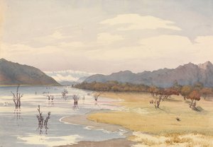 "Jezioro Acoleo [Aculeo], Chile, 11 stycznia 1851 r.