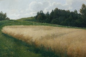 Pole owsa autorstwa Adolf Kaufmann