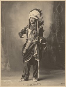 John Hollow Horn Bear, Siuks