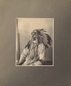 Zabij cętkowanego konia, Assiniboines