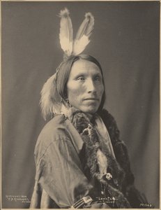 Samotny Łoś, Sioux