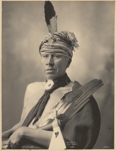 Mosteose (Święty Królik), Iowa