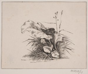 Skrzypce autorstwa Johan Adolph Kittendorff