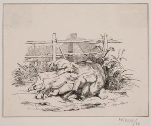 Świnie autorstwa Johan Adolph Kittendorff