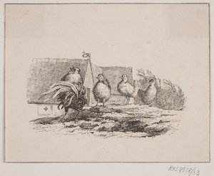 Kogut autorstwa Johan Adolph Kittendorff