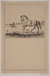 Koń w wodzie. Nie. 22 w Chr. Winther i M. Rørbye, „25 obrazków dla małych dzieci” autorstwa Johan Adolph Kittendorff